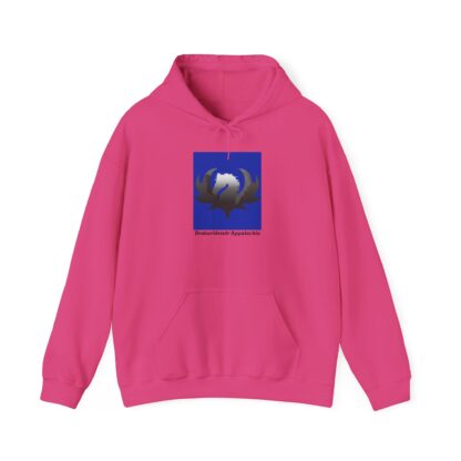 Drakaríðendr Appalachia  Unisex Hooded Sweatshirt - Image 33